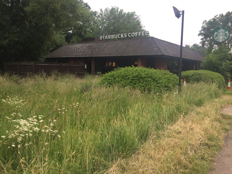 File:Starbucks Family Farm South 2021.jpg