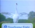 Services on TV: Trusthouse Forte swan campaign.jpg