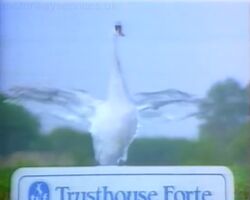 A swan standing on top of the Trusthouse Forte logo.