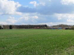 Field near Chilton.