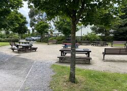 Picnic tables surrounded by trees.