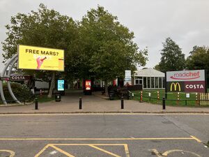 Taunton Deane services