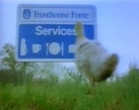 Chick standing in front of a Trusthouse Forte services sign.