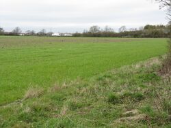 Newland Common field.