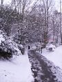 Rownhams: Rownhams snow path.jpg