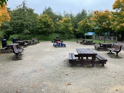 Picnic tables surrounded by trees.