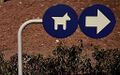 Granada: Granada dog signs.jpg